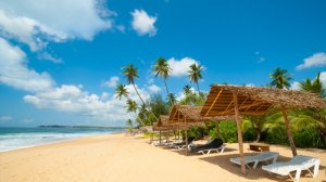 Прямой рейс на Шри-Ланку – всего за 371 евро!