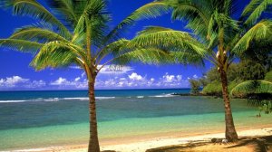 На Филиппины за 350 евро – осень 2017!