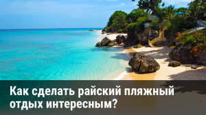 10 способов открыть для себя Барбадос — остров, пропитанный ромом