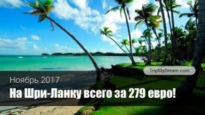 Билеты на Шри-Ланку – СКИДКА 45%!