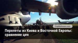 Куда можно полететь из Киева по ценам Ryanair: аналитика цен