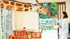 Пятерка странных услуг в отелях