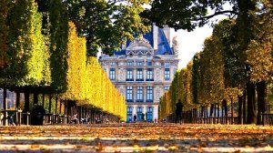 Париж глазами дизайнера: город, в который хочется возвращаться снова и снова