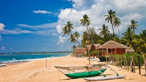 Прямой рейс на Шри-Ланку в конце сентября – всего 370 евро!