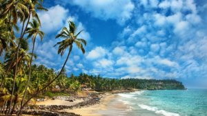 Прекрасные пляжи Южной Индии – всего за 258 евро!