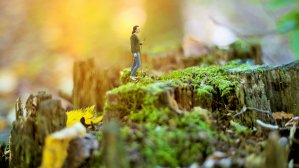 Куда поехать в сентябре