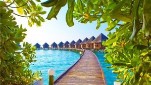 ТОП-9 предложений недели – ОТ 52 ЕВРО