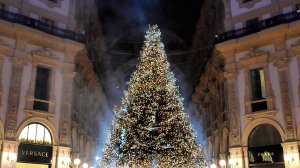 Прямой рейс в Милан в декабре – всего от 113 евро!