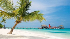 Отдых на Мальдивах: Перелет+Отель — ВСЕГО 733 евро!