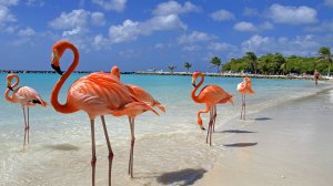 Отдых на Карибах: Перелет + Отель за 657 евро с человека