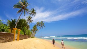 12 дней на Шри-Ланке: перелет + отель за 520 евро в апреле-мае!