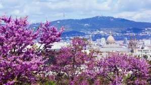 Испанская сиеста: Барселона – от 146 евро, Мадрид – от 158 евро