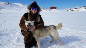 По Гренландии на собачьих упряжках: смотреть нельзя погладить