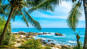 Прямой рейс на Шри-Ланку за 382 евро!