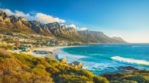 Сафари, дикие звери, национальные парки: чем заняться в ЮАР