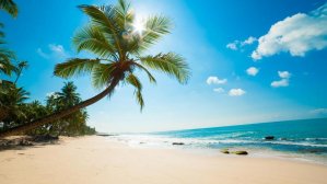 Горит отдых на Шри-Ланке – всего 483 евро!