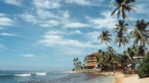 Авиа + отель: 10 дней на Шри-Ланке всего от €483