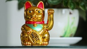 Китайский Новый год: когда и как его празднуют