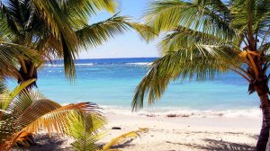 Украина ввела безвиз с ещё одной страной