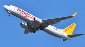 Pegasus Airlines уходит из Жулян