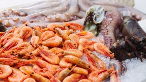 Что попробовать в Андалусии? Традиционные блюда этого региона