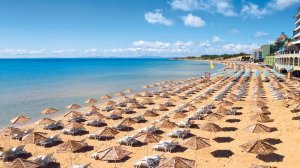 «МоторСич» запустит два новых международных рейса из Днепра