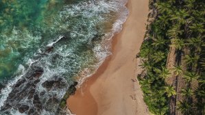 Шри-Ланка отменила плату за визу для украинцев