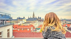 Знакомство с Веной