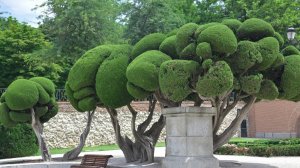 В Вильнюс, Софию, Мадрид – от €35 туда и назад