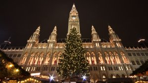 Куда улететь на Новый год: 10 идей для путешествий