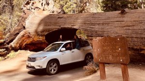 Гайд по национальным паркам США: как успеть увидеть всё