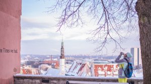 Эстония огласила самое продолжительное в Европе чрезвычайное положение