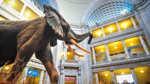 Виртуальное путешествие: лучшие музеи, которые можно посетить на карантине