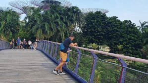 Украинцы о дороге домой после закрытия границ