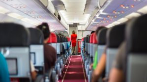 Чем занимаются стюардессы на карантине?