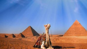 Виза в Египет для россиян снова стала платной