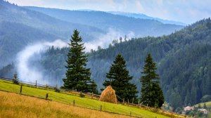 12 фактов про Карпаты, которые тебя удивят