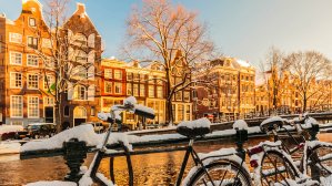 5 причин поехать в Голландию зимой