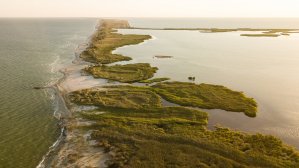 Тузловские лиманы: затерянный рай, который поражает своей красотой