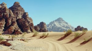 Ещё четыре страны открыли границы для украинцев