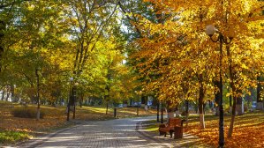 Выходные в Киеве: куда пойти 24 и 25 октября