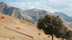 Для украинцев открыла границы ещё одна страна