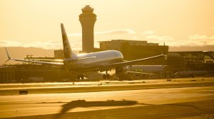 SkyUp может начать летать в Тбилиси, а Windrose — в Гонконг и Ташкент