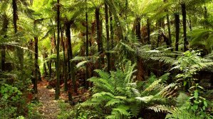 Сайт дня: телепорт в разные уголки мира