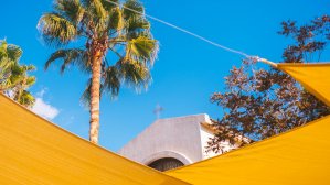 Стало известно, когда Кипр откроет границы для украинцев