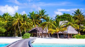 Отдых на Мальдивах: какой остров выбрать?