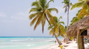 Новая украинская авиакомпания будет летать из Киева в Кению