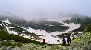 Ещё две страны попали в «зеленую» зону
