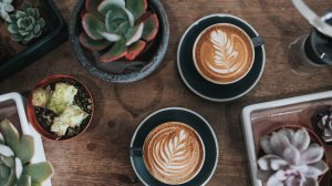 В какой стране самый лучший и дорогой кофе?