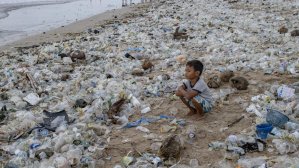 На самом популярном пляже Бали собрали 30 тонн мусора